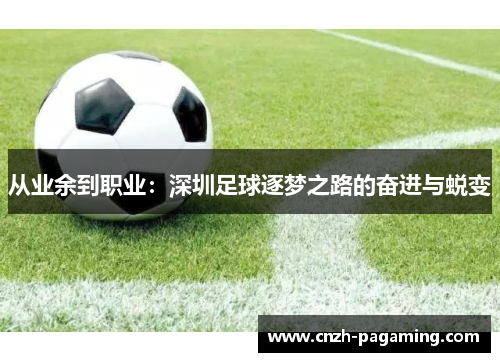 从业余到职业：深圳足球逐梦之路的奋进与蜕变