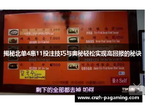 揭秘北单4串11投注技巧与奥秘轻松实现高回报的秘诀