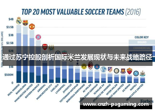 通过苏宁控股剖析国际米兰发展现状与未来战略路径
