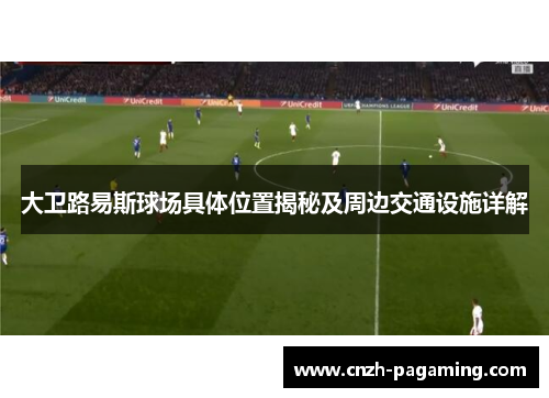大卫路易斯球场具体位置揭秘及周边交通设施详解