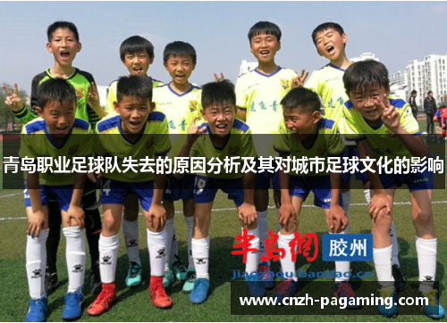 青岛职业足球队失去的原因分析及其对城市足球文化的影响 青岛职业足球队失去的原因分析及其对城市足球文化的影响