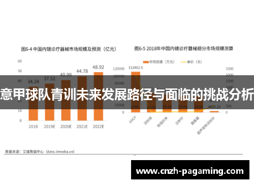 意甲球队青训未来发展路径与面临的挑战分析