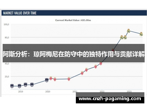 阿斯分析：琼阿梅尼在防守中的独特作用与贡献详解